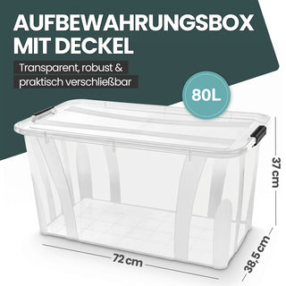 Master Box mit Deckel in verschiedenen Größen (Größe wählbar)