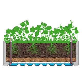 Set: 2 x XL PFLANZKASTEN mit Wasserspeicher Rattan (breite Version) Farbe: Anthrazit