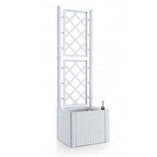 SPALIER Rattan (schmale Version) Farbe: WEISS